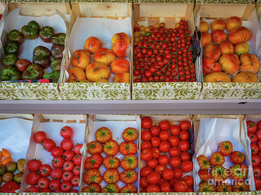 Provence Tomatoes Photograph by Inge Johnsson