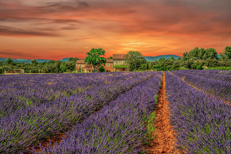 Provence Photograph by Wade Aiken
