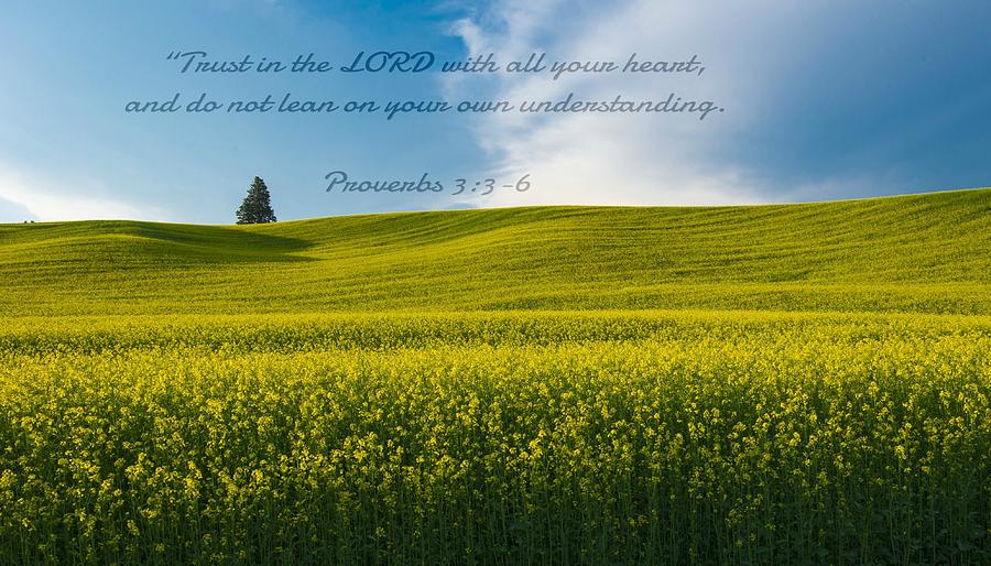 Nature Photograph - Proverbs from the Bible by Minnetta Heidbrink