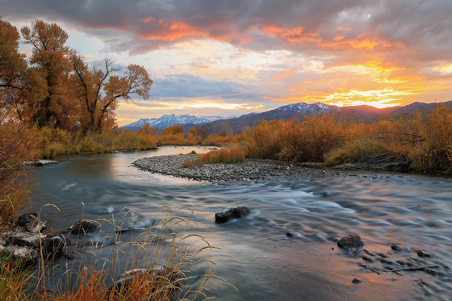 Fall Photograph - Provo River Golden Sunset by Wasatch Light