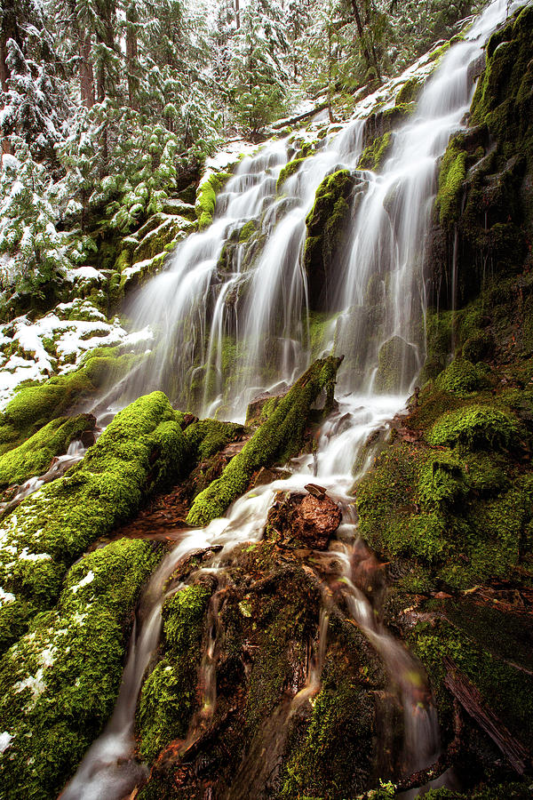 Proxy Falls Close Up, Winter Edition, Oregon Photograph by Alex Mironyuk
