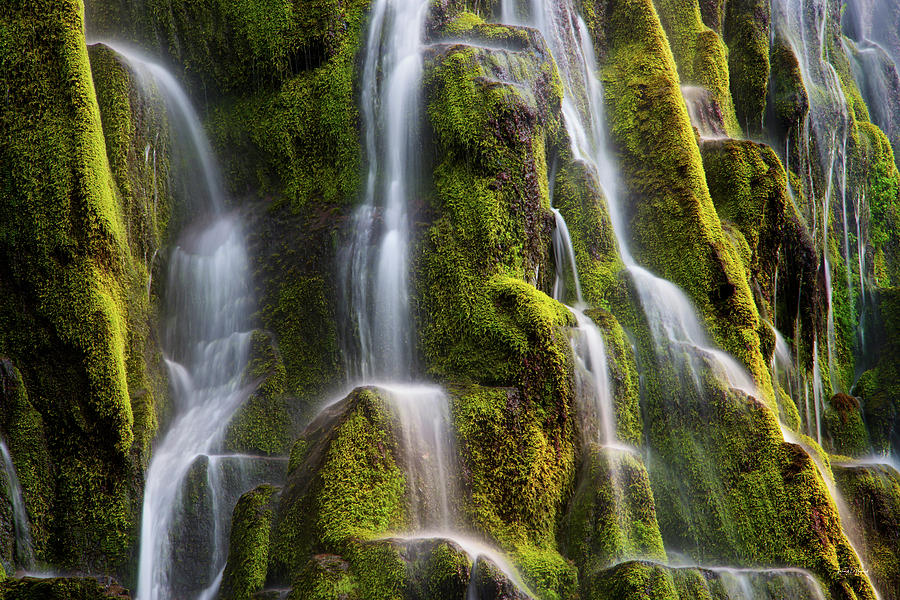 Proxy Falls Form and Light Photograph by Leland D Howard
