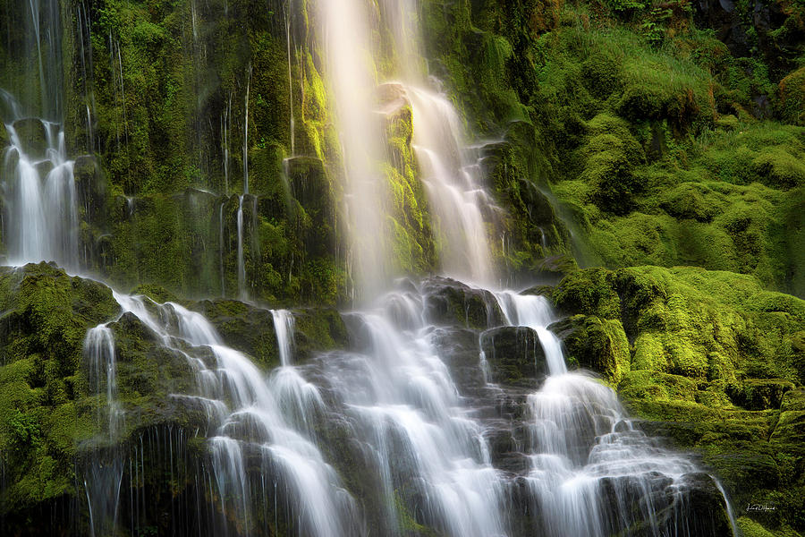 Proxy Falls in Forest Light Photograph by Leland D Howard