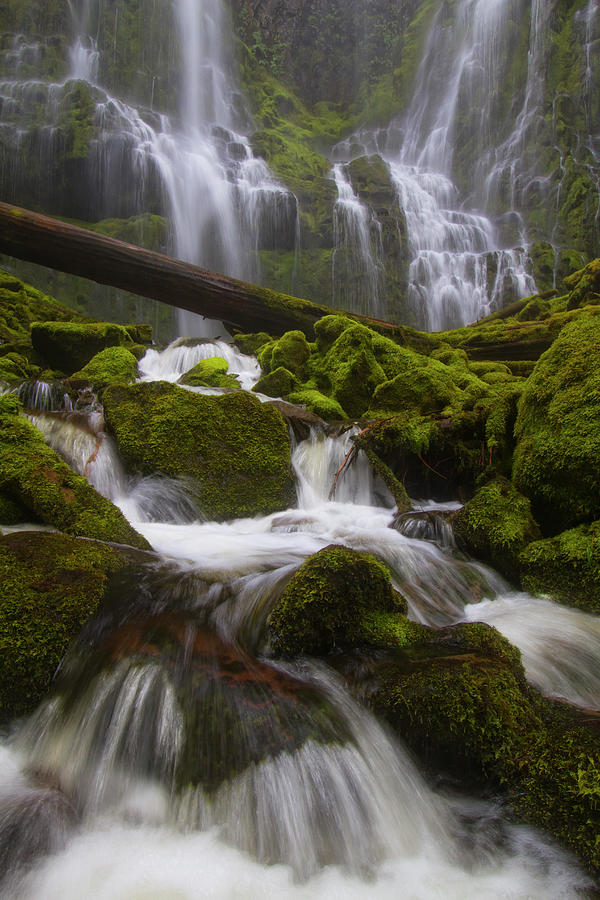Proxy Falls Photograph by Justin Reznick Photography