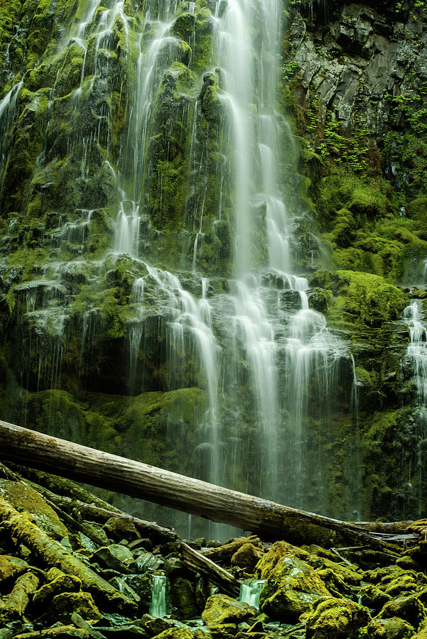 Proxy Falls Near Eugene, Oregon Photograph by Cavan Images / Daniel ...