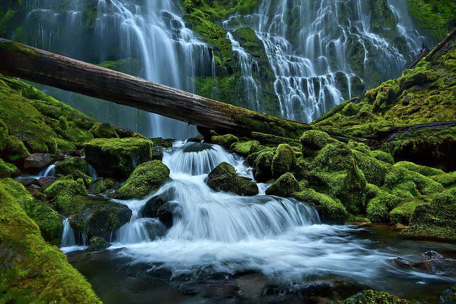 Proxy Falls Photograph by Photos By Crow Carol Rukliss Photographer