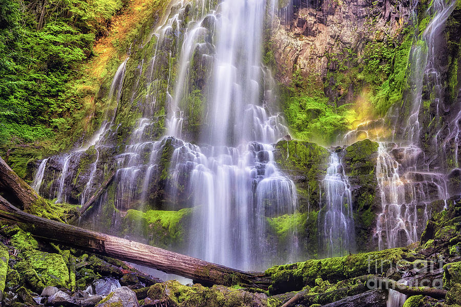 Proxy Falls Photograph by Roxie Crouch