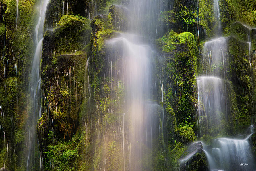 Proxy Falls Textures and Light 2 Photograph by Leland D Howard