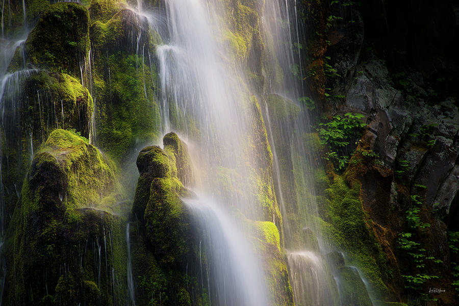 Proxy Falls Textures and Light Photograph by Leland D Howard