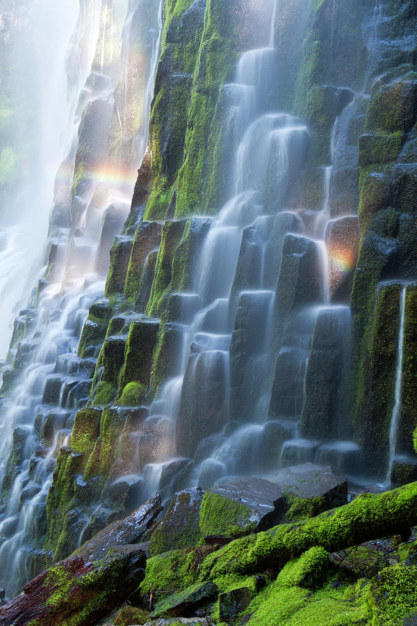 Proxy Falls With Rainbow Photograph by Justinreznick