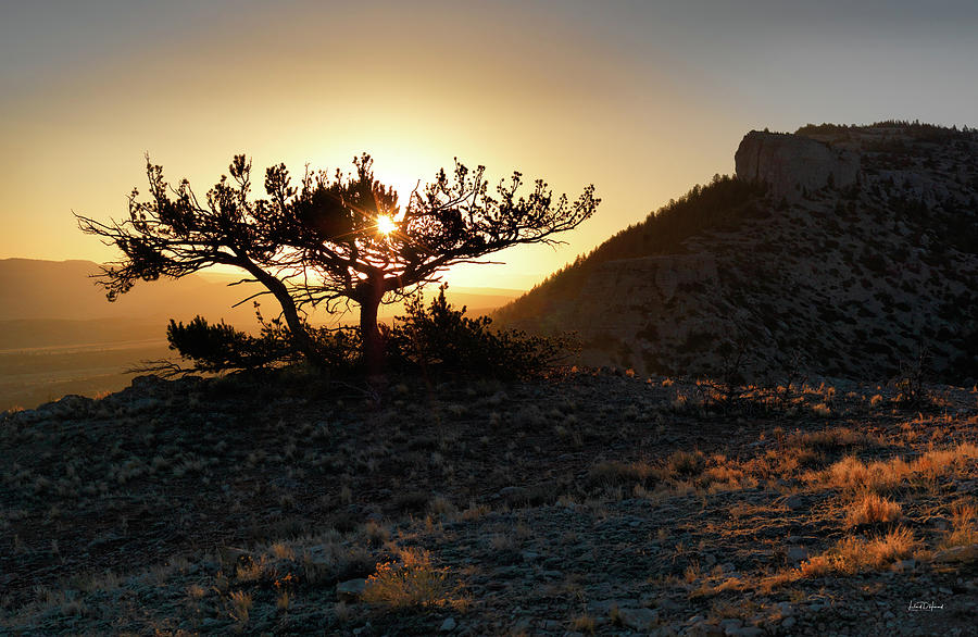 Pryor Mountain Sunrise Photograph by Leland D Howard