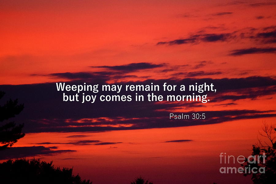 Psalm 305 by Patti Whitten Psalm 305 by Patti Whitten