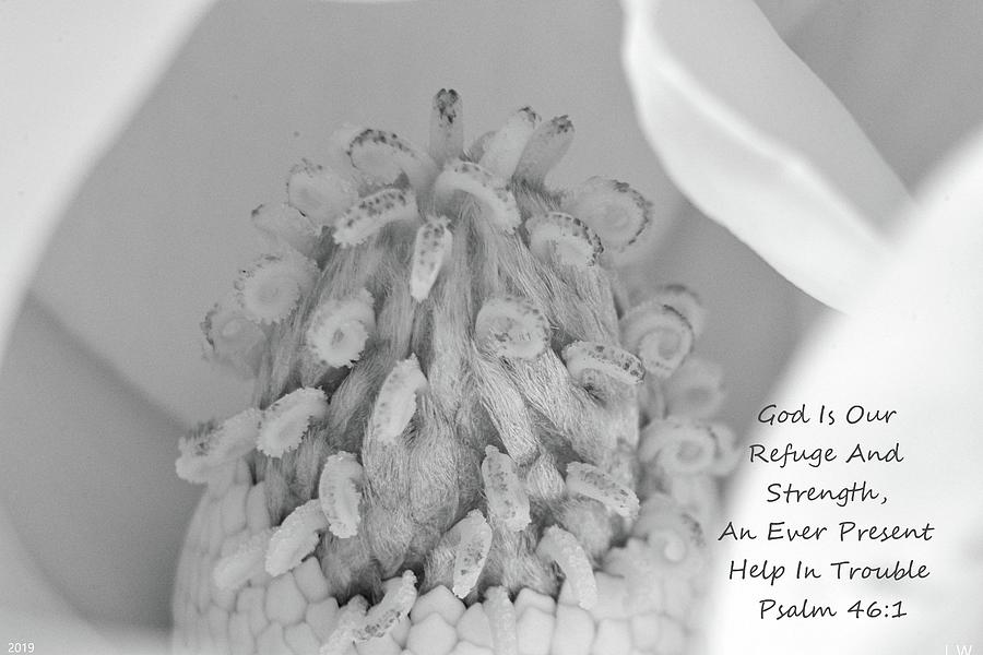 Psalm 46 1 Magnolia Black And White Photograph by Lisa Wooten