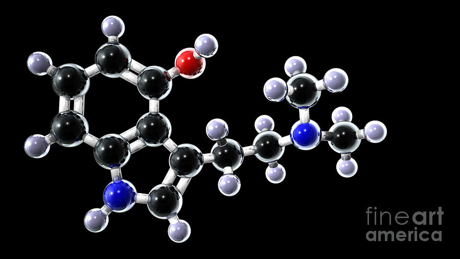 Psilocin Molecule Photograph by Animate4.com/science Photo Library ...