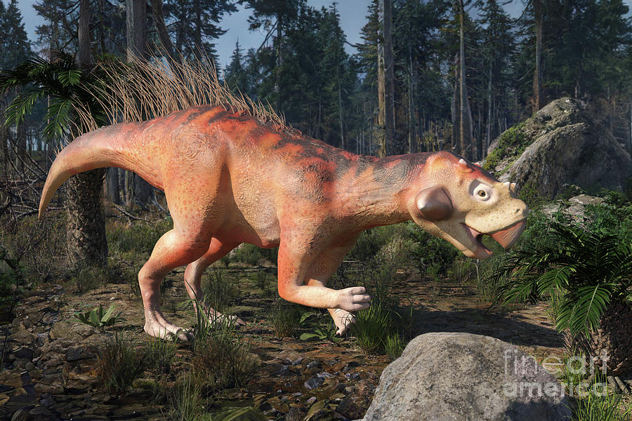 Psittacosaurus Dinosaur Photograph By Roger Harris Science Photo Library Pixels