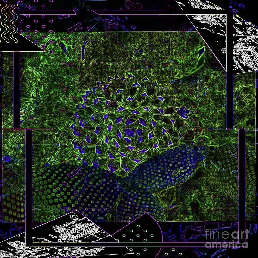 PSYCHEDELIC, cACTUS, If, U cAn  Digital Art by Scott S Baker