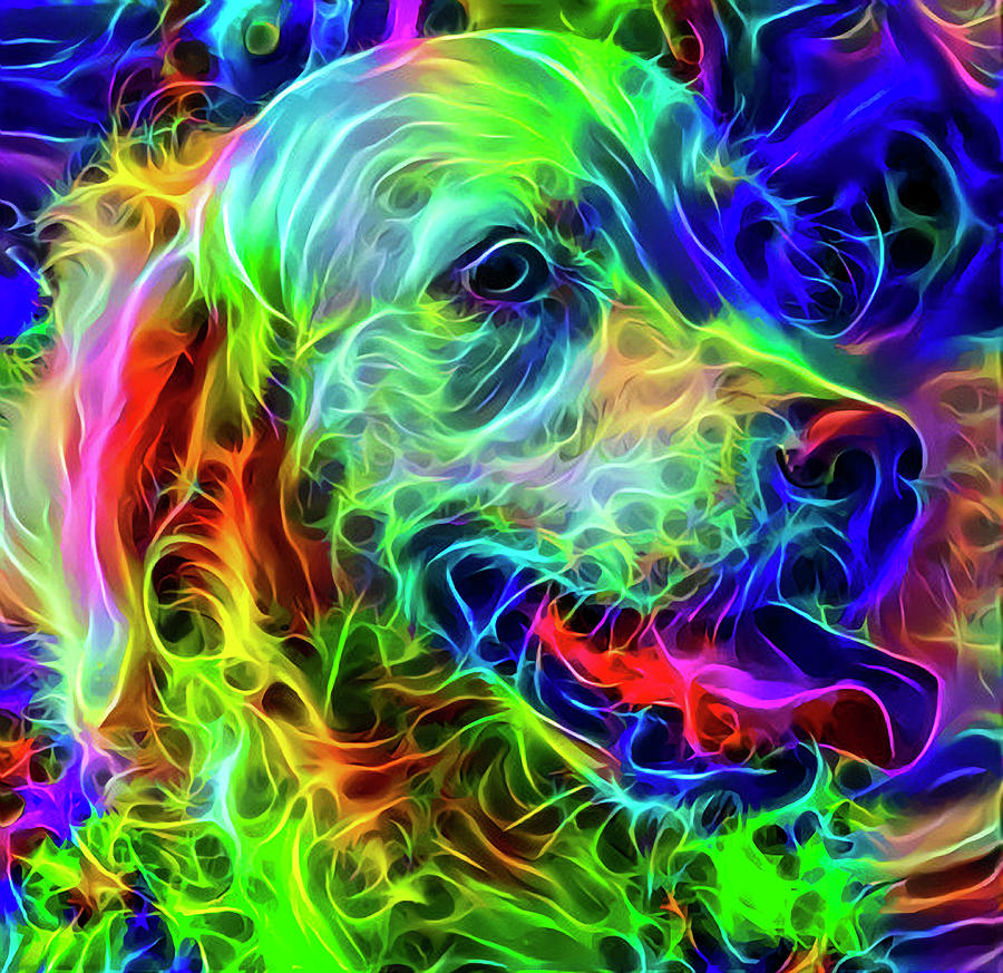 Psychedelic Dog Digital Art by Robert Carlsen - Fine Art America