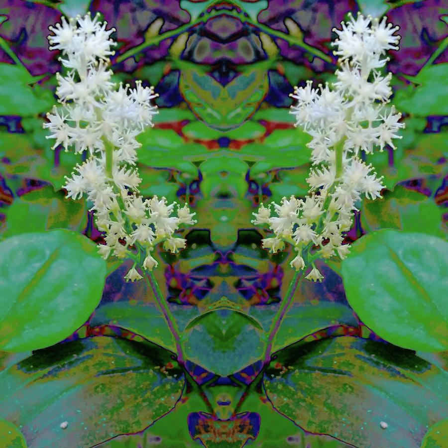 Nature Digital Art - Psychedelic flowers by Brianna McMullen