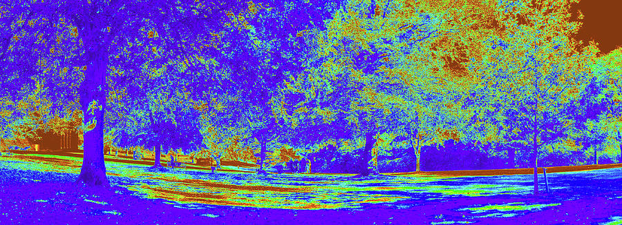 Psychedelic Toile Park Photograph by Tikvahs Hope