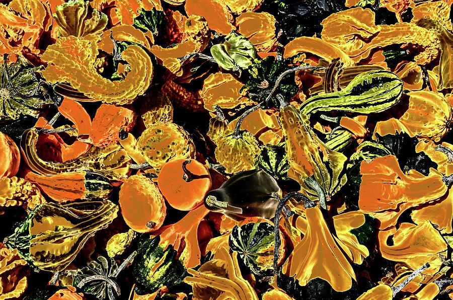 Psychedelic Winter Squash 2 by Paul Croll Psychedelic Winter Squash 2 by Paul Croll