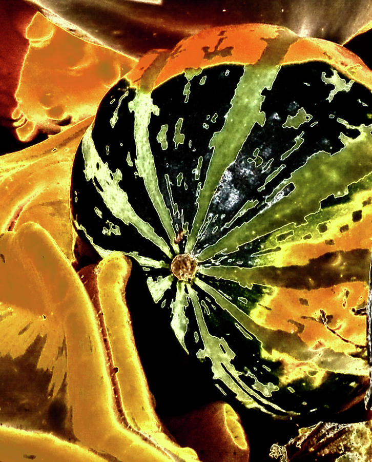 Psychedelic Winter Squash 3 by Paul Croll Psychedelic Winter Squash 3 by Paul Croll