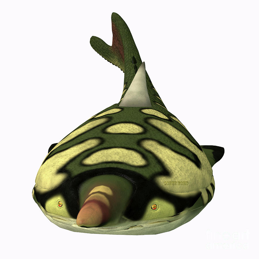 Pteraspis Fish Head Digital Art by Corey Ford