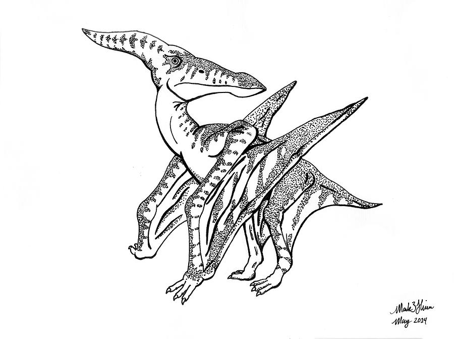 Pterodactyl Drawing by Mark Flinn Fine Art America