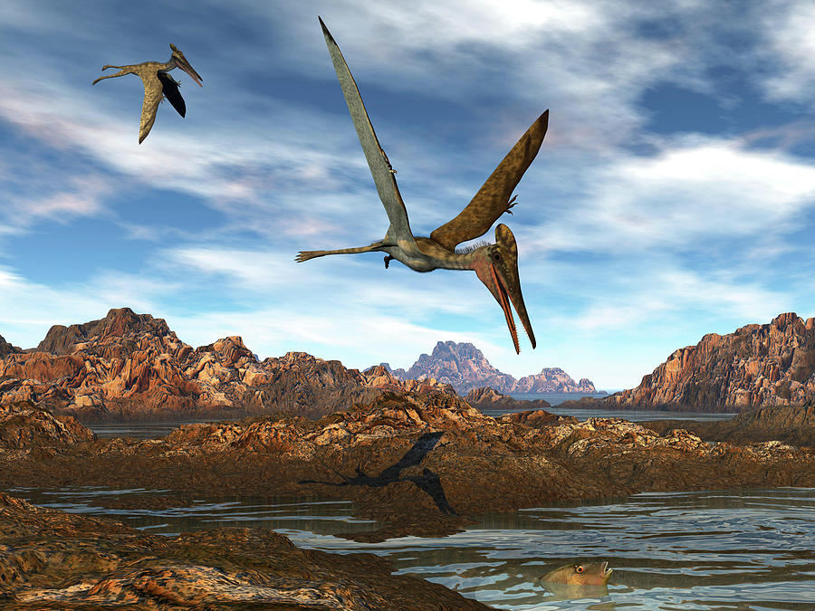 Pterodactylus Flying Above Water Photograph by Elena Duvernay