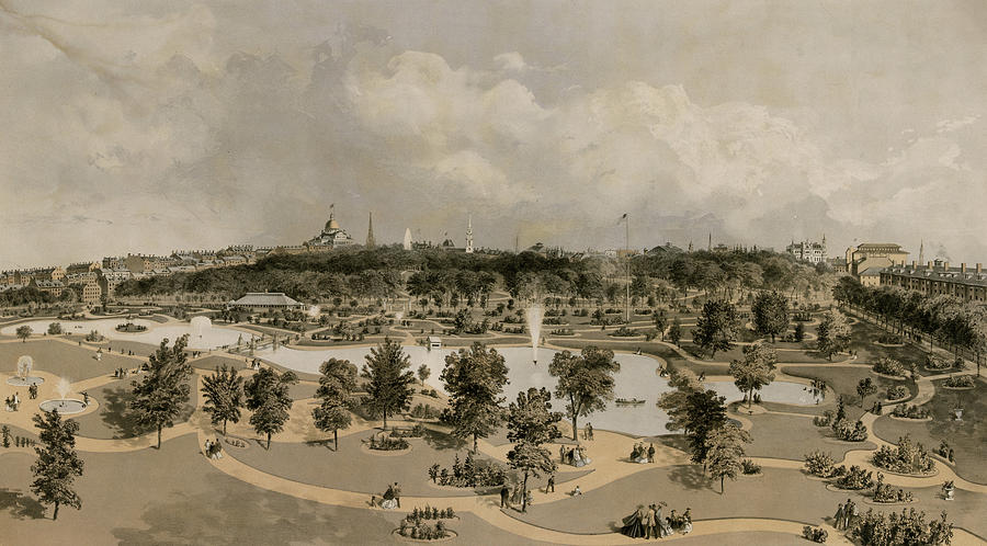Public Garden & Boston Common Painting by Buford