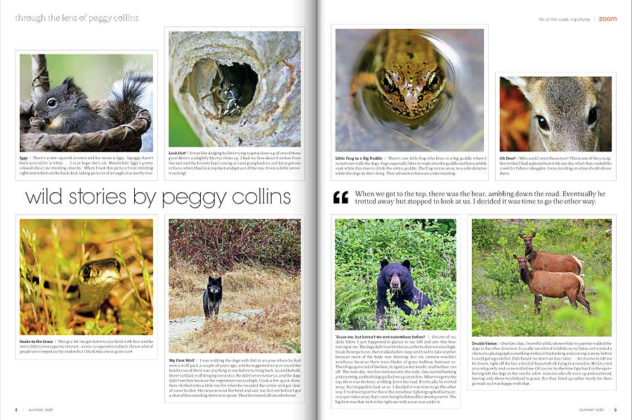 Published in Zoom Magazine - My Wildlife Stories - Summer 2012 Edition  Photograph by Peggy Collins