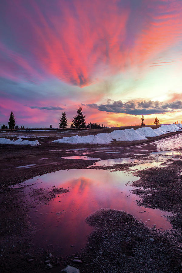 Puddle Reflection / Columbia Falls, Montana by Nicholas Parker Puddle Reflection / Columbia Falls, Montana by Nicholas Parker