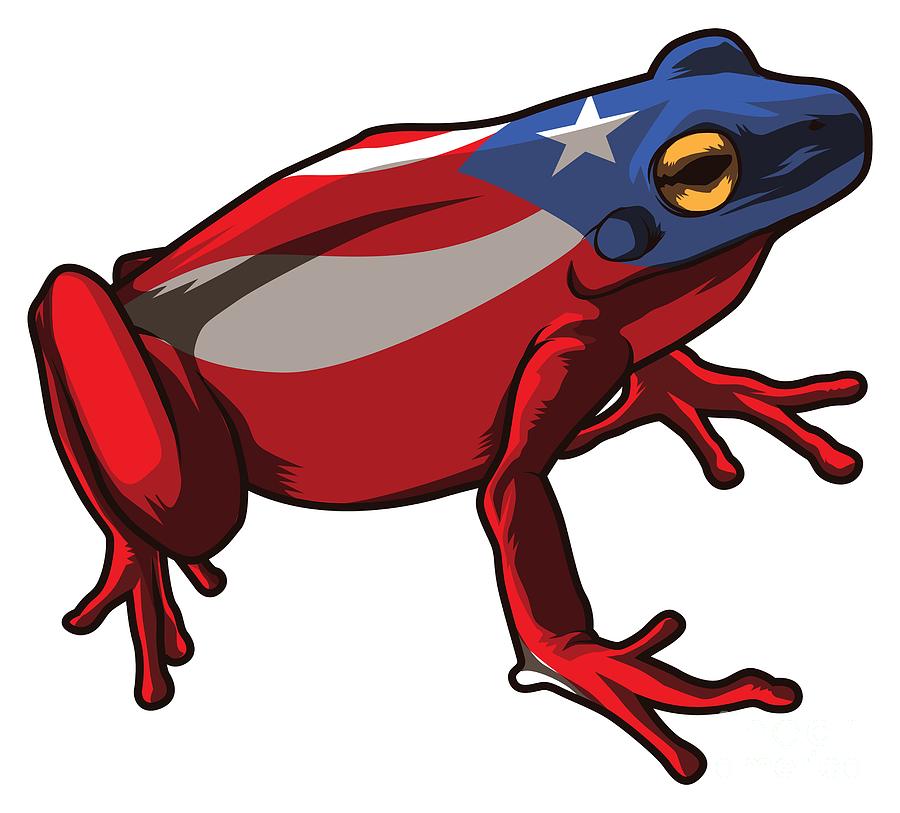 Puerto Rican Flag With Coqui Drawing