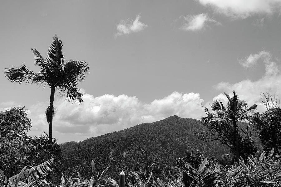 Puerto Rico Mountain View Photograph by Robert Wilder Jr