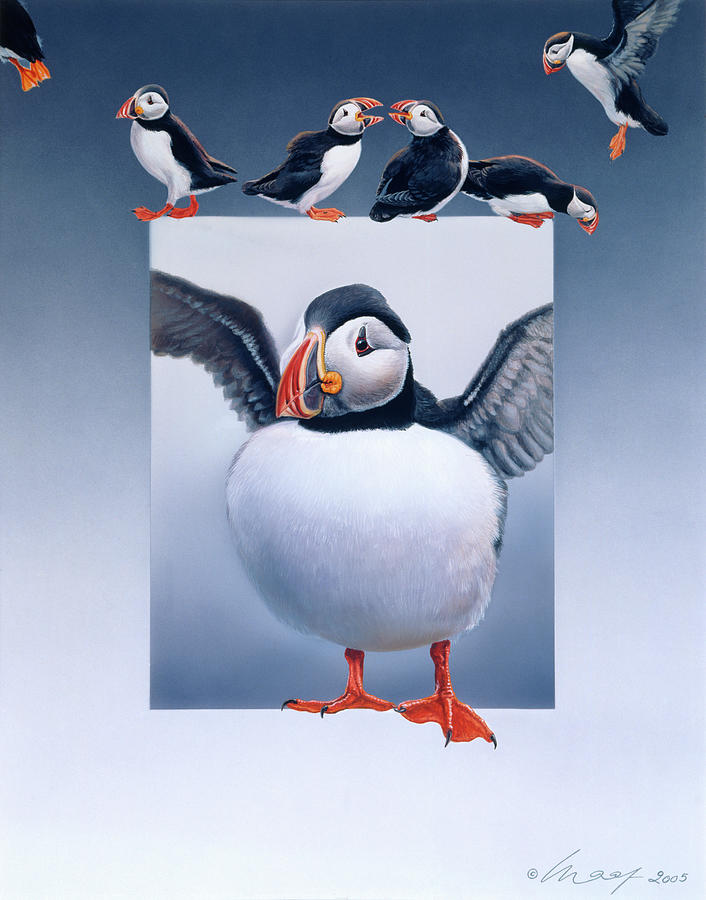Puffin Painting - Puffins by Harro Maass