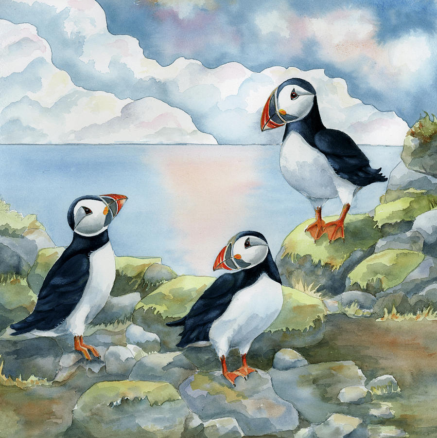 Puffin Painting - Puffins On Cliff by Tracy Miller