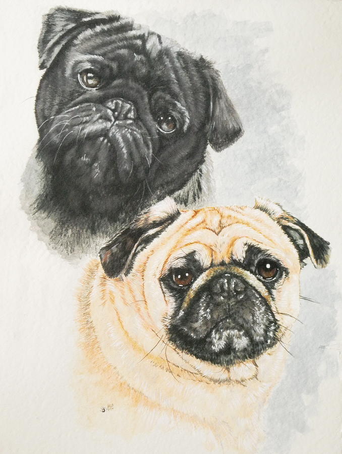 Pug Brothers in Watercolor Painting by Barbara Keith
