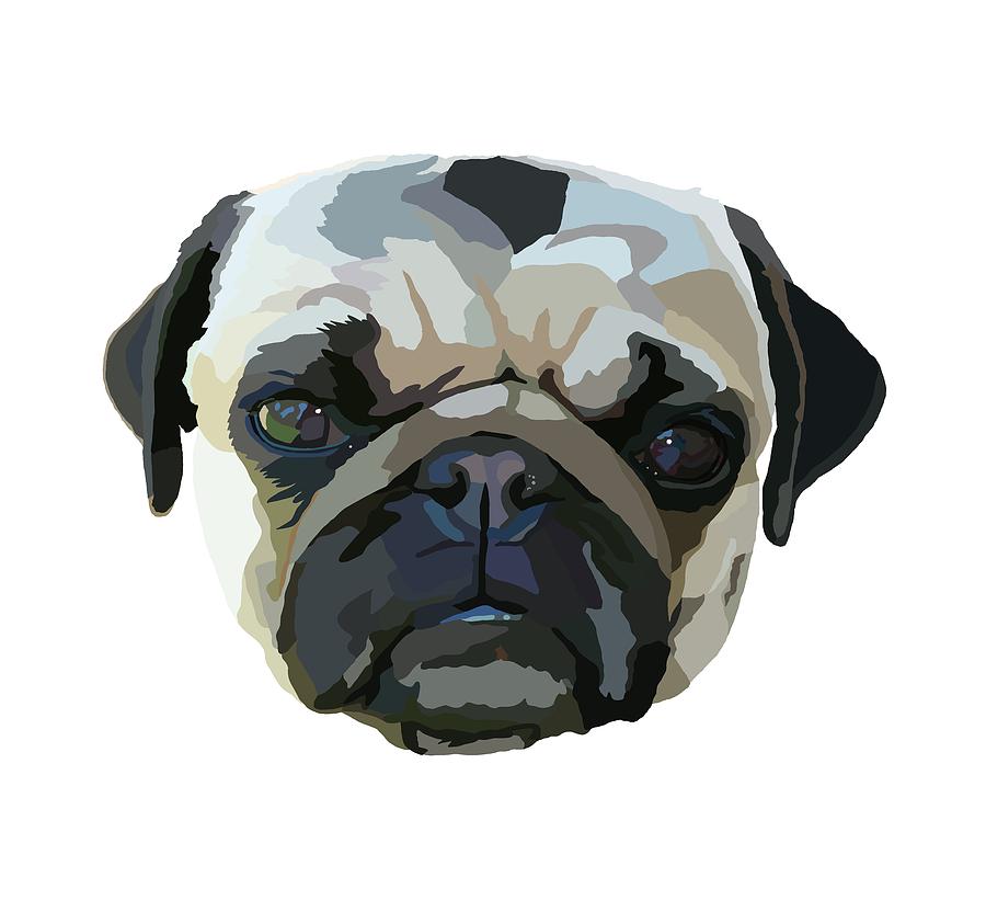 Pug Drawing Digital Art By David Smith Fine Art America