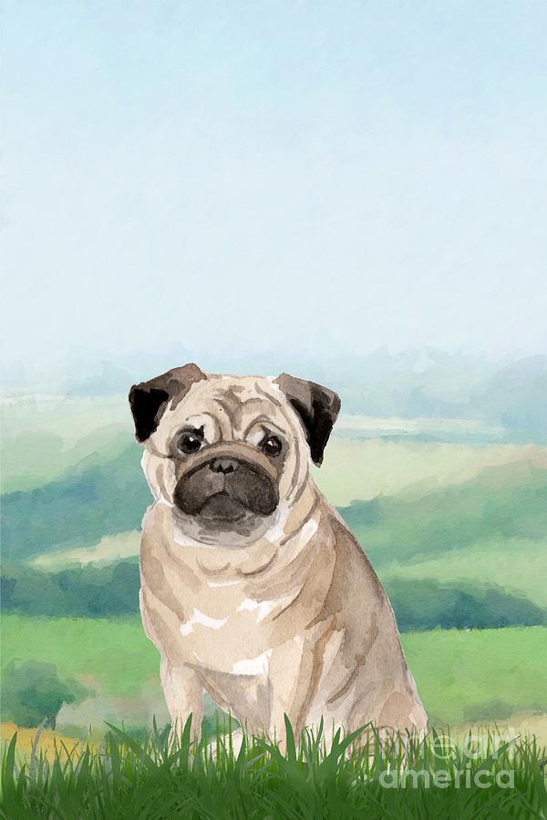 Pug Painting by John Edwards