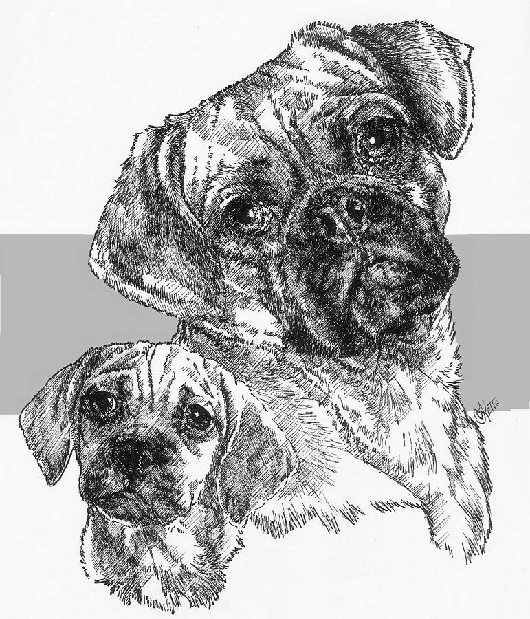 Puggle and Pup Drawing by Barbara Keith