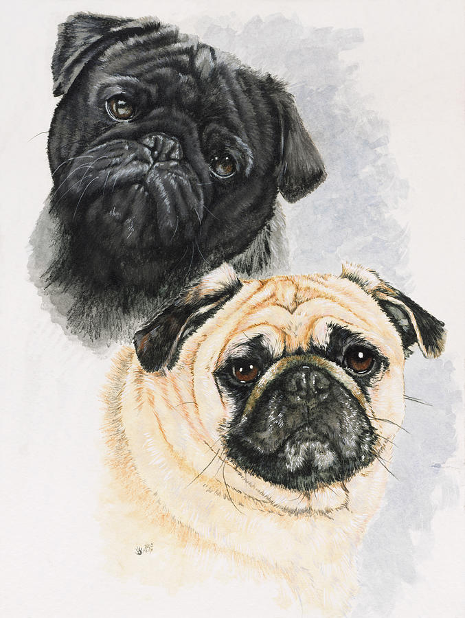 Dog Painting - Pugs by Barbara Keith