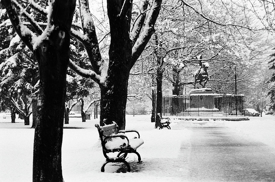 Pulaski Park In Snow Photograph