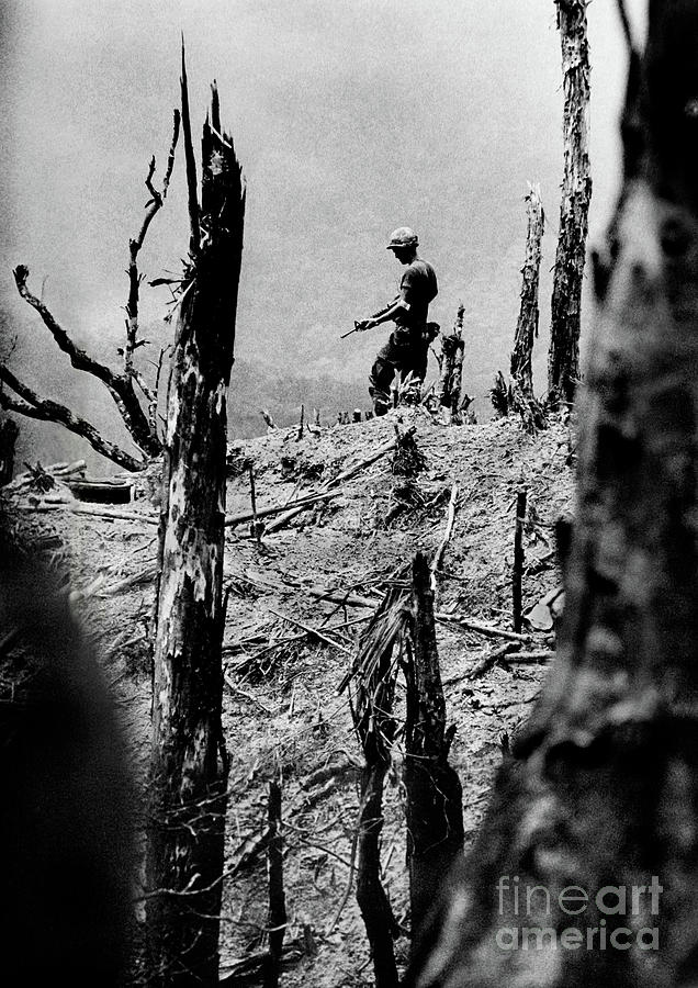 Pulitzer Prize Photo From Vietnam War Photograph by Bettmann