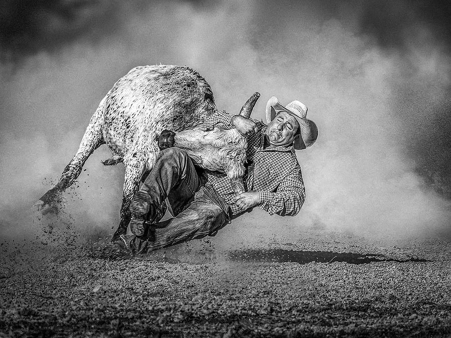 Pulling Down Photograph by Frank Ma Fine Art America