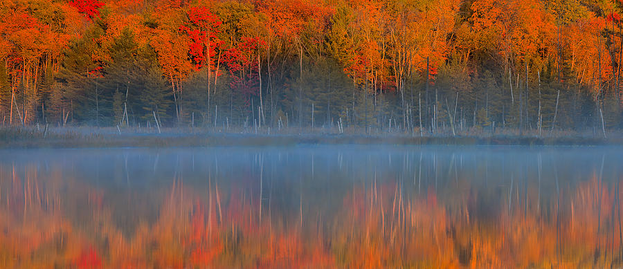 Pulses Of The Autumn Photograph by John Fan