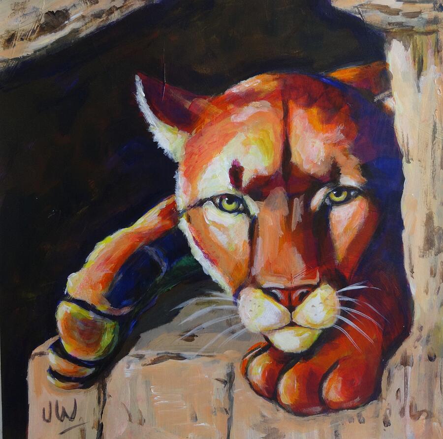 Puma in waiting by June Walker Puma in waiting by June Walker