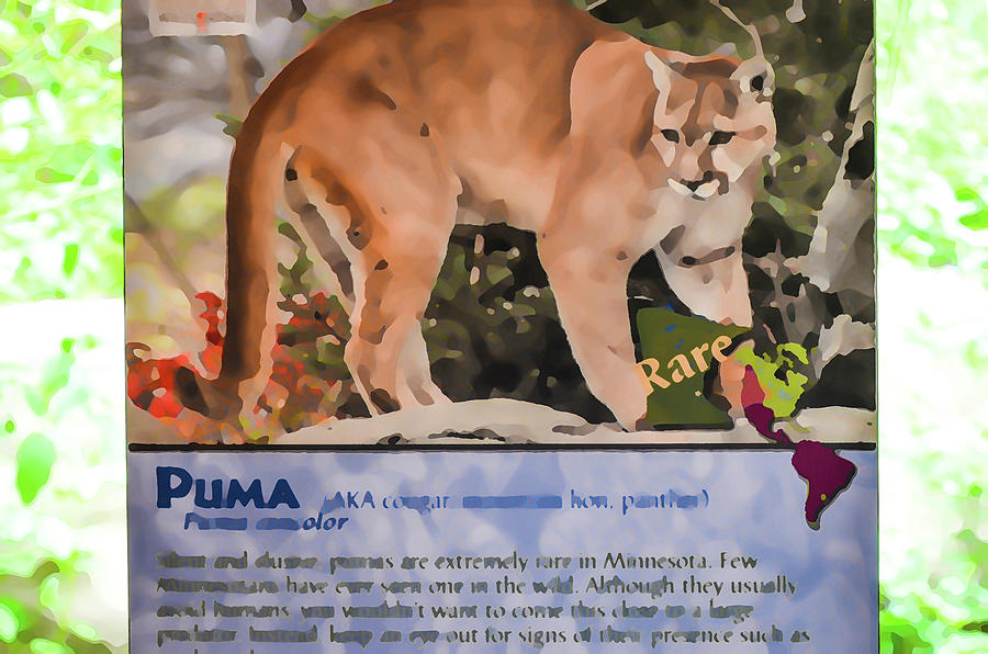 Puma Painting by Jeelan Clark