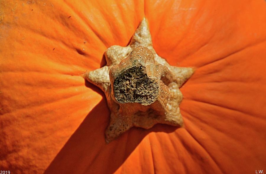 Pumpkin 2 Photograph by Lisa Wooten
