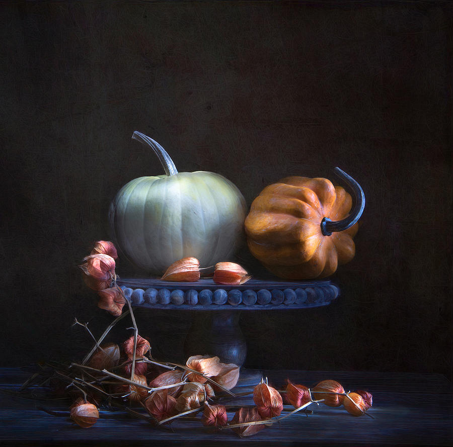 Pumpkin Photograph - Pumpkin & Chinese Lanterns by Catherine W.