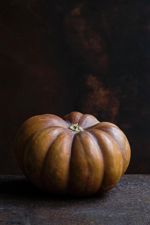 Pumpkin Photograph by Brigitte Sporrer
