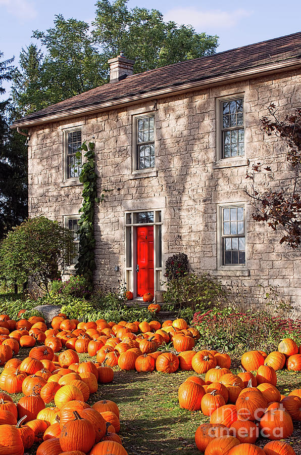 Pumpkin Celebration at the Homestead Photograph by Barbara McMahon ...